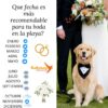 LOS MEJORES TIPS PARA TÚ BODA - Imagen 2